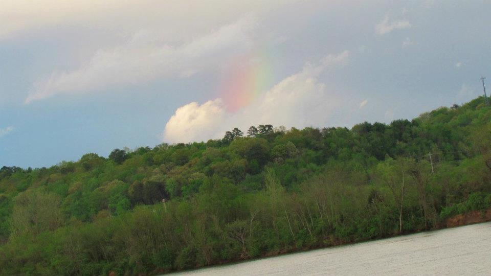 Elder Mountain Room At Tennessee Riverplace Chattanooga Exteriör bild