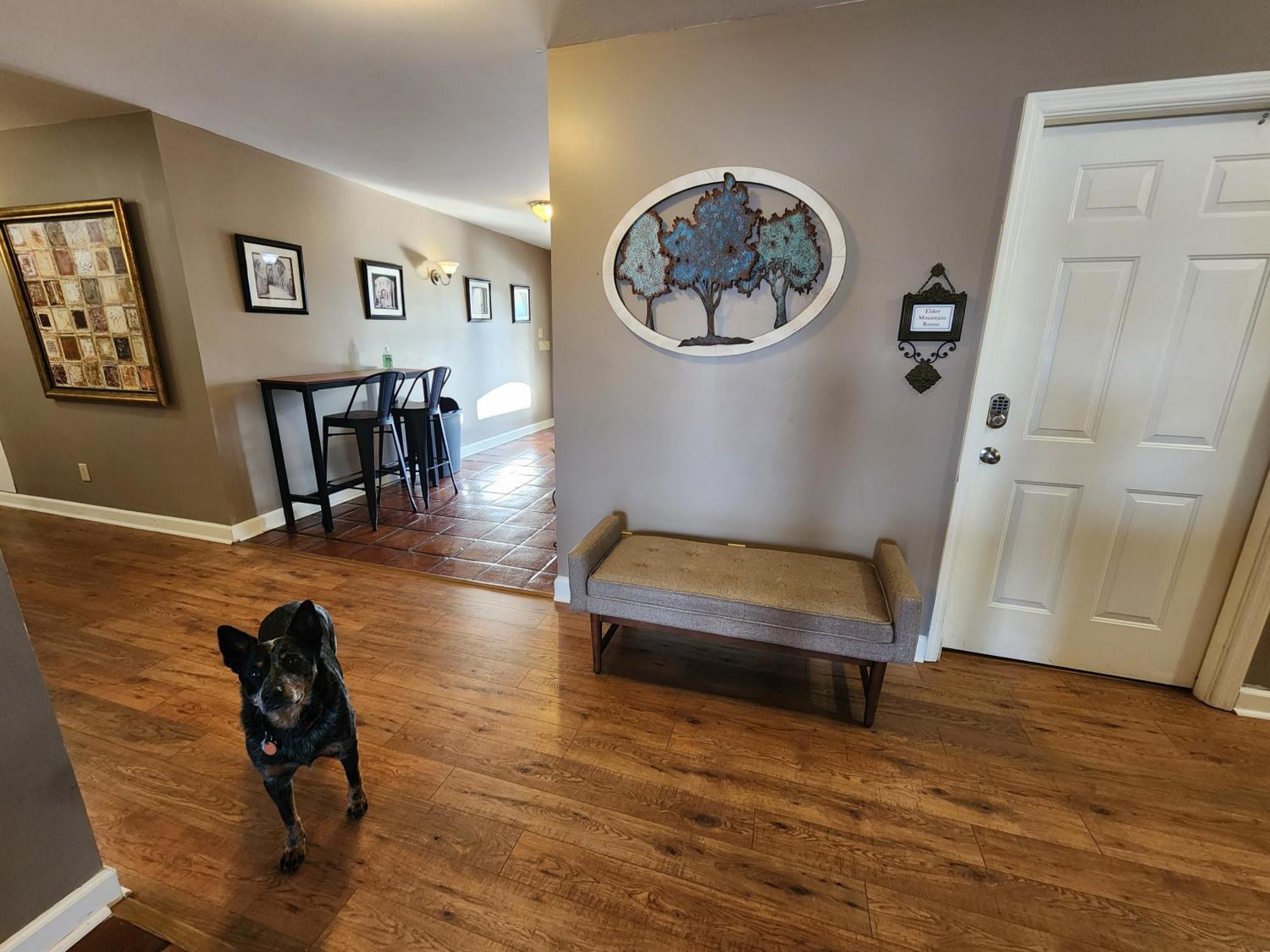 Elder Mountain Room At Tennessee Riverplace Chattanooga Exteriör bild